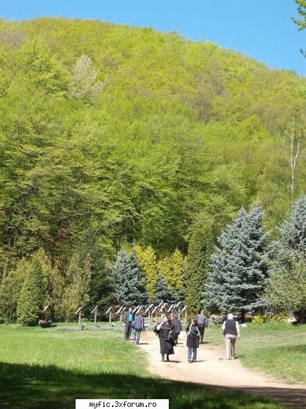 la liceu vreau sa fac in continuare pian...sau ma gandeam sa fac canto (nush daca v-am spus dar e o